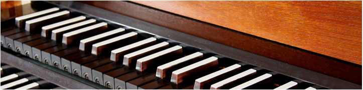 organis